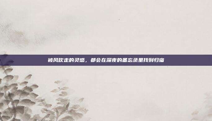 被风吹走的灵感，都会在深夜的备忘录里找到归宿