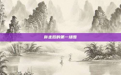 你走后的第一场雪