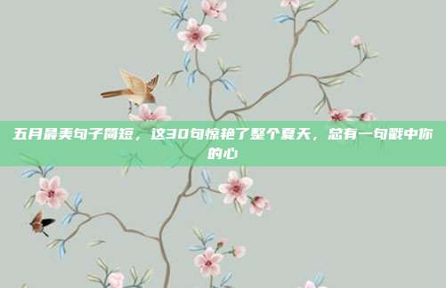 五月最美句子简短，这30句惊艳了整个夏天，总有一句戳中你的心