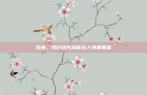 后来，我们终究没能在人海里重逢