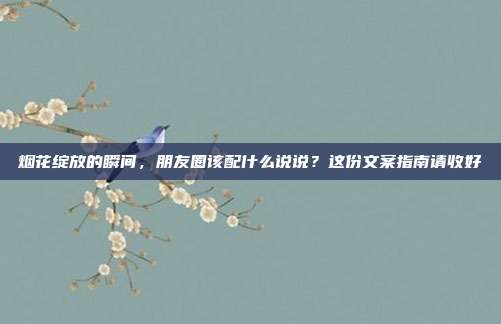 烟花绽放的瞬间，朋友圈该配什么说说？这份文案指南请收好
