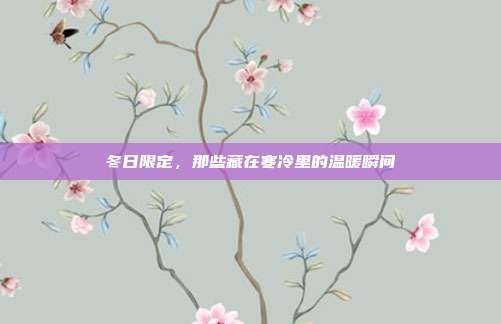 冬日限定，那些藏在寒冷里的温暖瞬间
