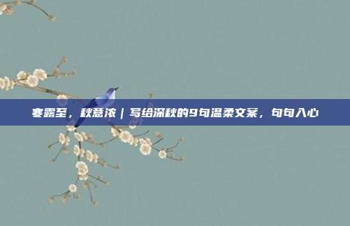 寒露至，秋意浓｜写给深秋的9句温柔文案，句句入心