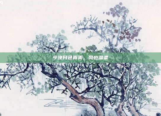今晚月色真美，风也温柔