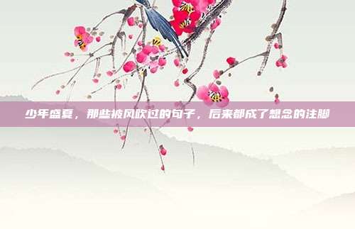 少年盛夏，那些被风吹过的句子，后来都成了想念的注脚