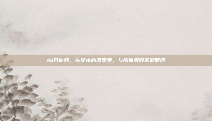 12月你好，在岁末的温柔里，与所有美好不期而遇