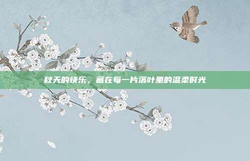 秋天的快乐，藏在每一片落叶里的温柔时光