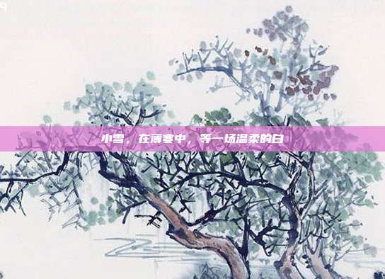 小雪，在薄寒中，等一场温柔的白