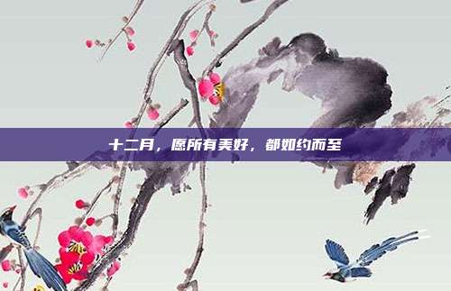 十二月,愿所有美好,都如约而至