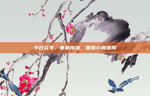 今日立冬，寒意渐浓，愿你心有暖阳