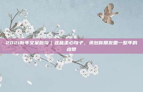 2021新年文案短句|这些走心句子,承包你朋友圈一整年的点赞