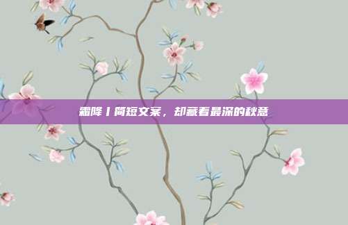 霜降丨简短文案，却藏着最深的秋意