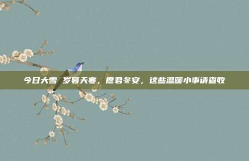 今日大雪 岁暮天寒，愿君冬安，这些温暖小事请查收