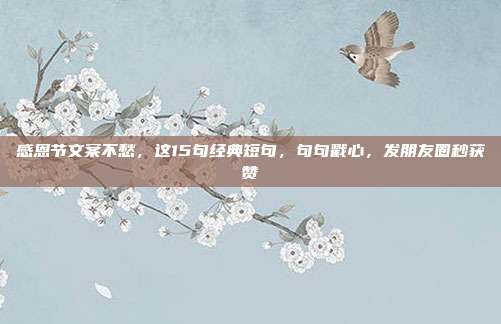 感恩节文案不愁，这15句经典短句，句句戳心，发朋友圈秒获赞