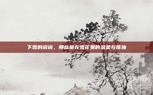 下雪的说说,那些藏在雪花里的温柔与孤独