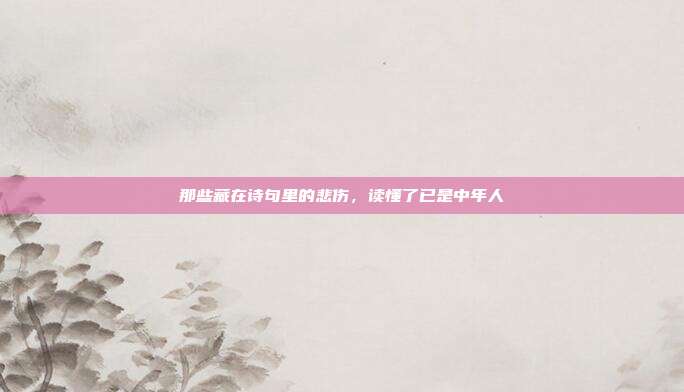 那些藏在诗句里的悲伤,读懂了已是中年人