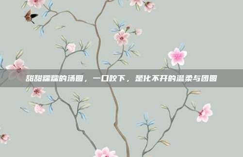 甜甜糯糯的汤圆，一口咬下，是化不开的温柔与团圆