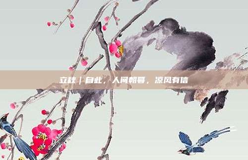 立秋｜自此，人间朝暮，凉风有信