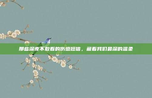 那些深夜不敢看的伤感短信,藏着我们最深的温柔