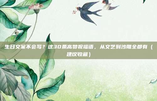 生日文案不会写？这30条高赞祝福语，从文艺到沙雕全都有（建议收藏）