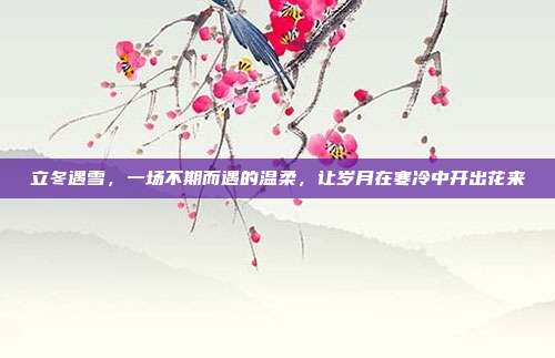 立冬遇雪,一场不期而遇的温柔,让岁月在寒冷中开出花来