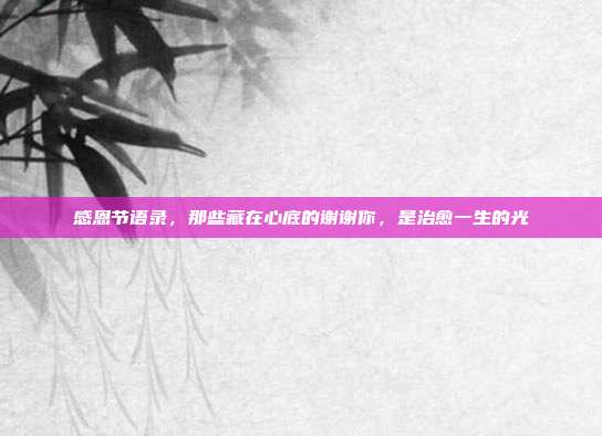 感恩节语录,那些藏在心底的谢谢你,是治愈一生的光