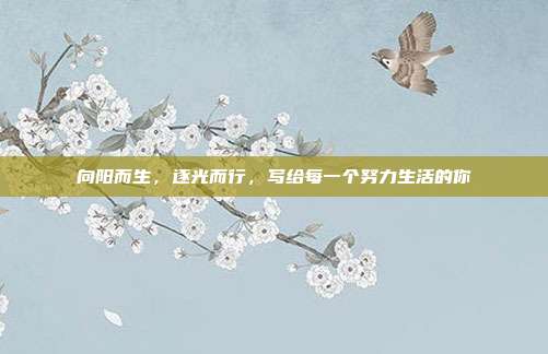 向阳而生,逐光而行,写给每一个努力生活的你