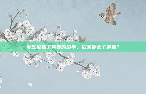 那些惊艳了青春的少年，后来都去了哪里？