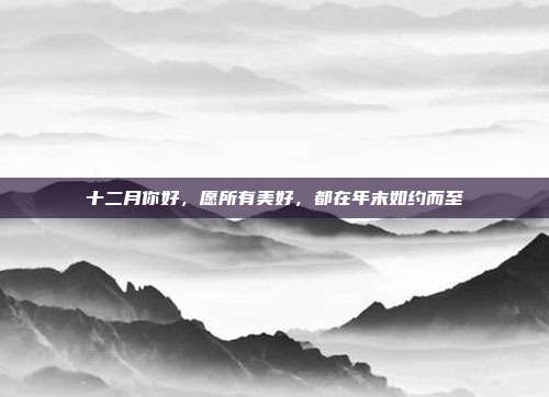 十二月你好，愿所有美好，都在年末如约而至