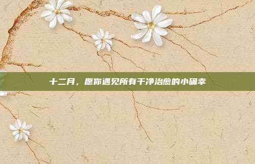 十二月，愿你遇见所有干净治愈的小确幸