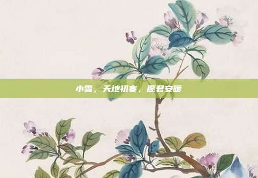 小雪，天地初寒，愿君安暖