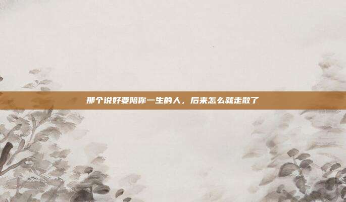 那个说好要陪你一生的人,后来怎么就走散了
