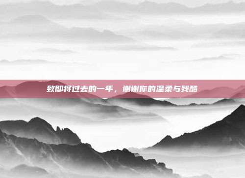 致即将过去的一年，谢谢你的温柔与残酷