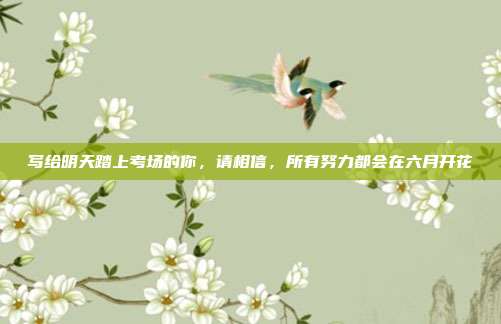 写给明天踏上考场的你，请相信，所有努力都会在六月开花