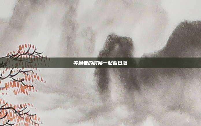 等到老的时候一起看日落