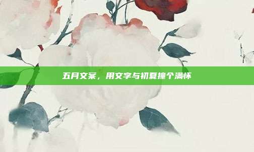 五月文案，用文字与初夏撞个满怀