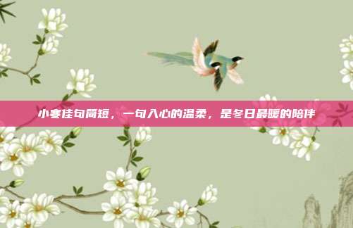 小寒佳句简短,一句入心的温柔,是冬日最暖的陪伴