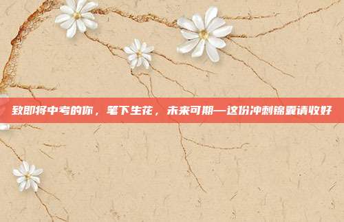致即将中考的你,笔下生花,未来可期—这份冲刺锦囊请收好