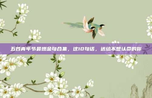 五四青年节最燃金句合集,这10句话,送给不想认命的你