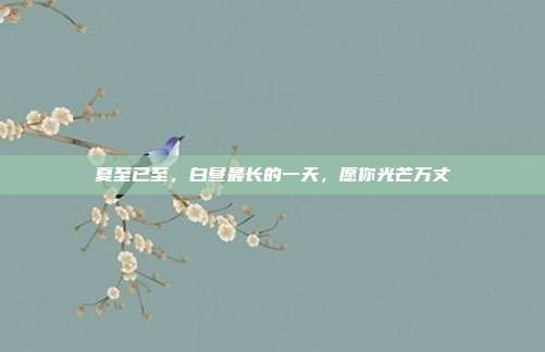 夏至已至,白昼最长的一天,愿你光芒万丈