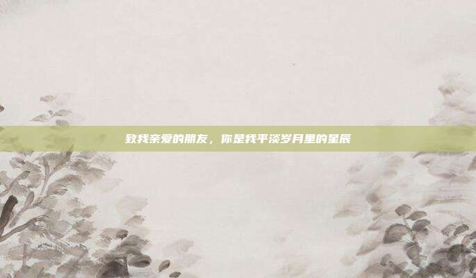 致我亲爱的朋友，你是我平淡岁月里的星辰
