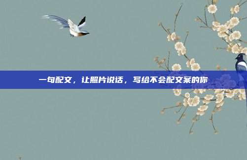 一句配文，让照片说话，写给不会配文案的你