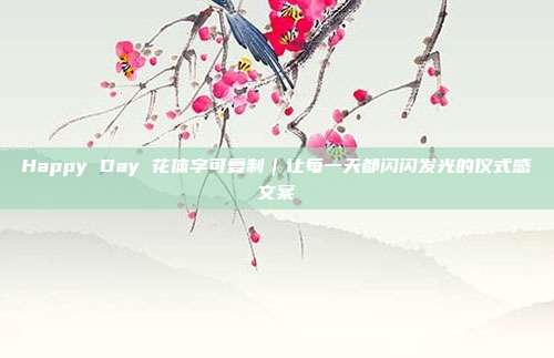 Happy Day 花体字可复制｜让每一天都闪闪发光的仪式感文案