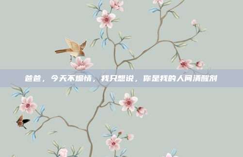 爸爸,今天不煽情,我只想说,你是我的人间清醒剂