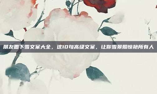 朋友圈下雪文案大全,这10句高级文案,让你雪景照惊艳所有人