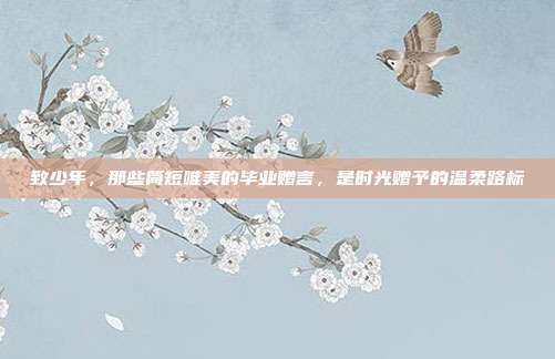 致少年,那些简短唯美的毕业赠言,是时光赠予的温柔路标