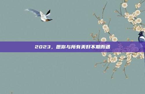 2023,愿你与所有美好不期而遇