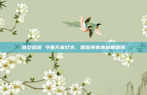 除夕说说 今夜万家灯火，愿你所有奔赴都值得