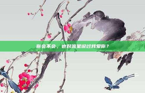 你会不会,也对流星说过我爱你?