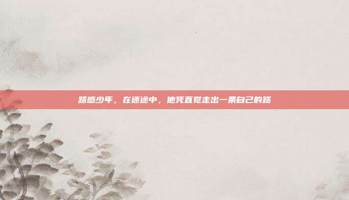 路感少年，在迷途中，他凭直觉走出一条自己的路